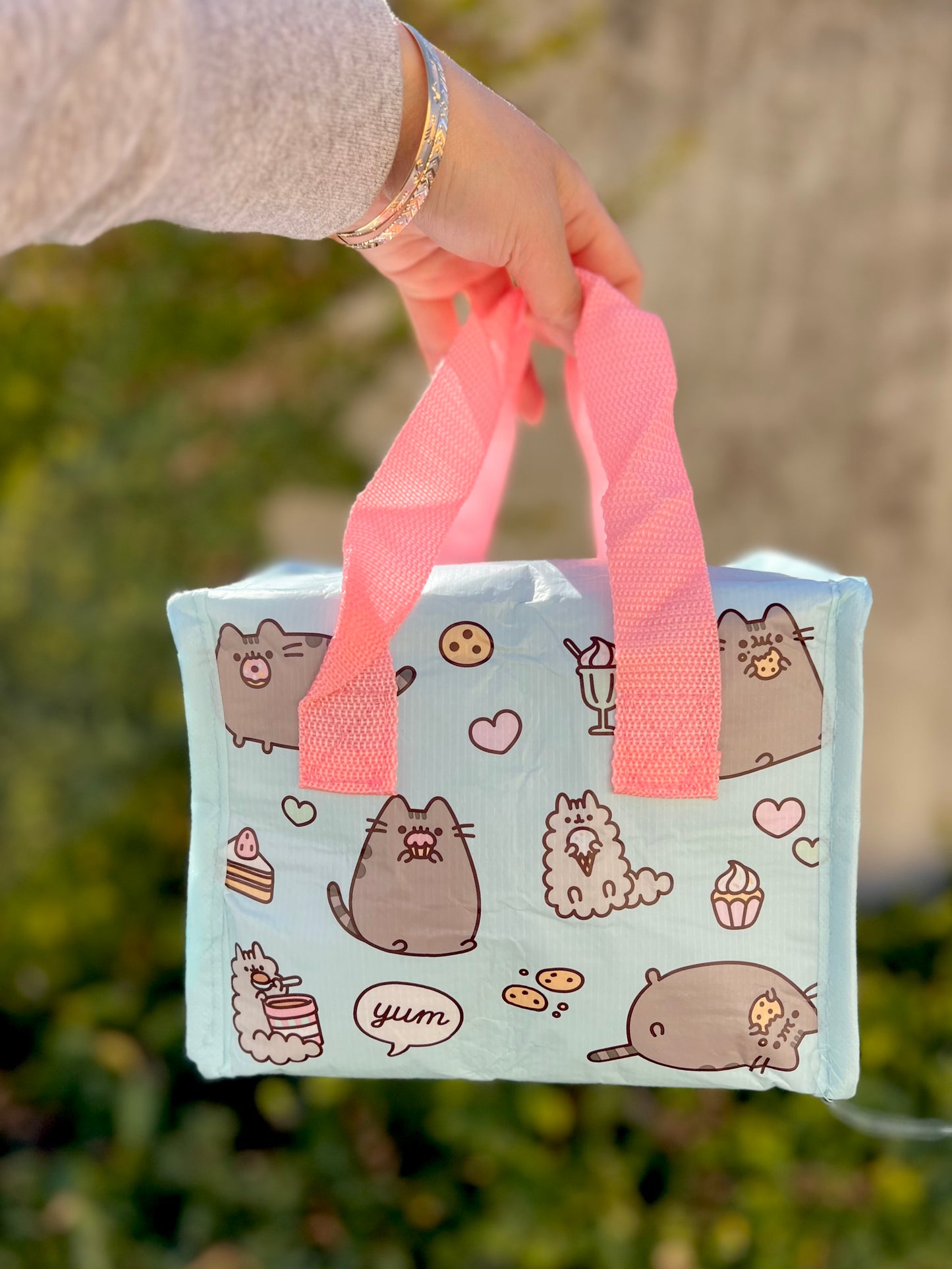 Pusheen Insulated Snack Bag