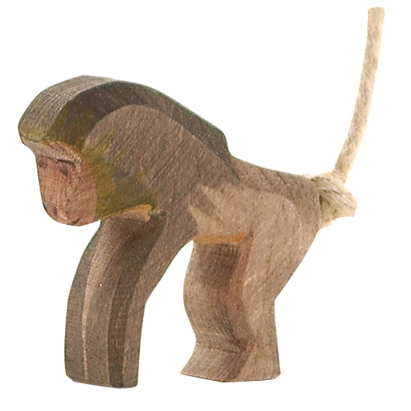 Baboon Standing