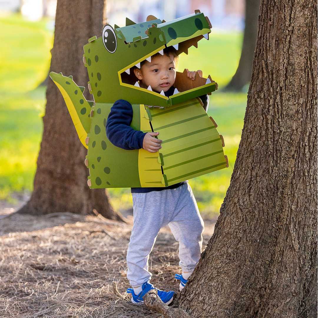 Billie The Crocodile - 3D Reusable Cardboard Costume