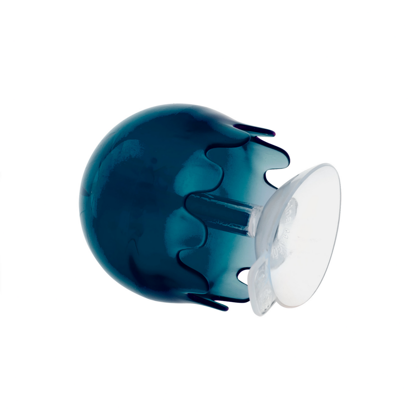 JELLIES Suction Cup Bath Toy