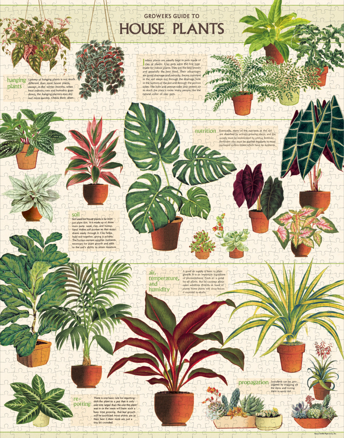 Vintage Puzzle - House Plants