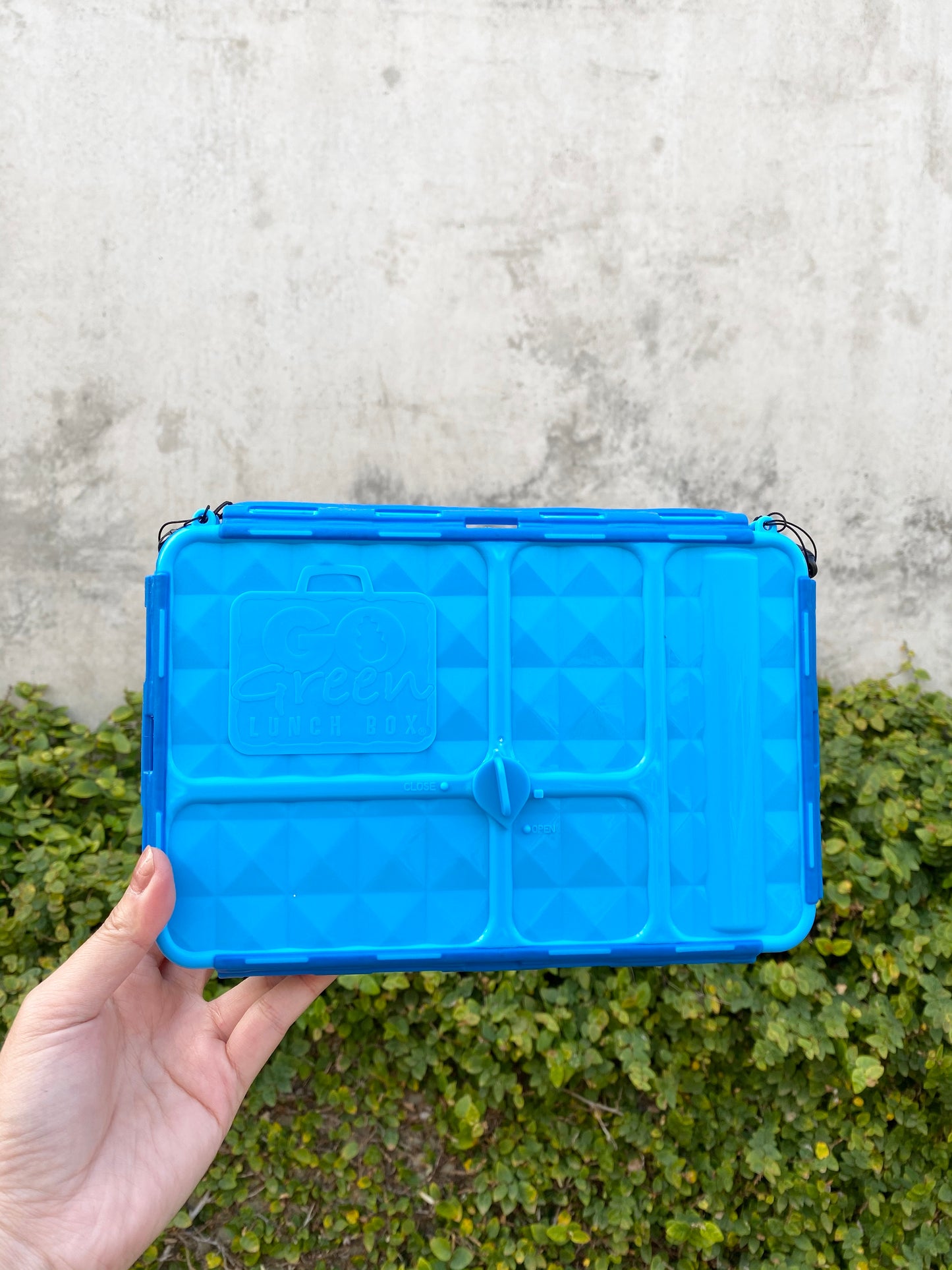 Go Green Snack Boxes