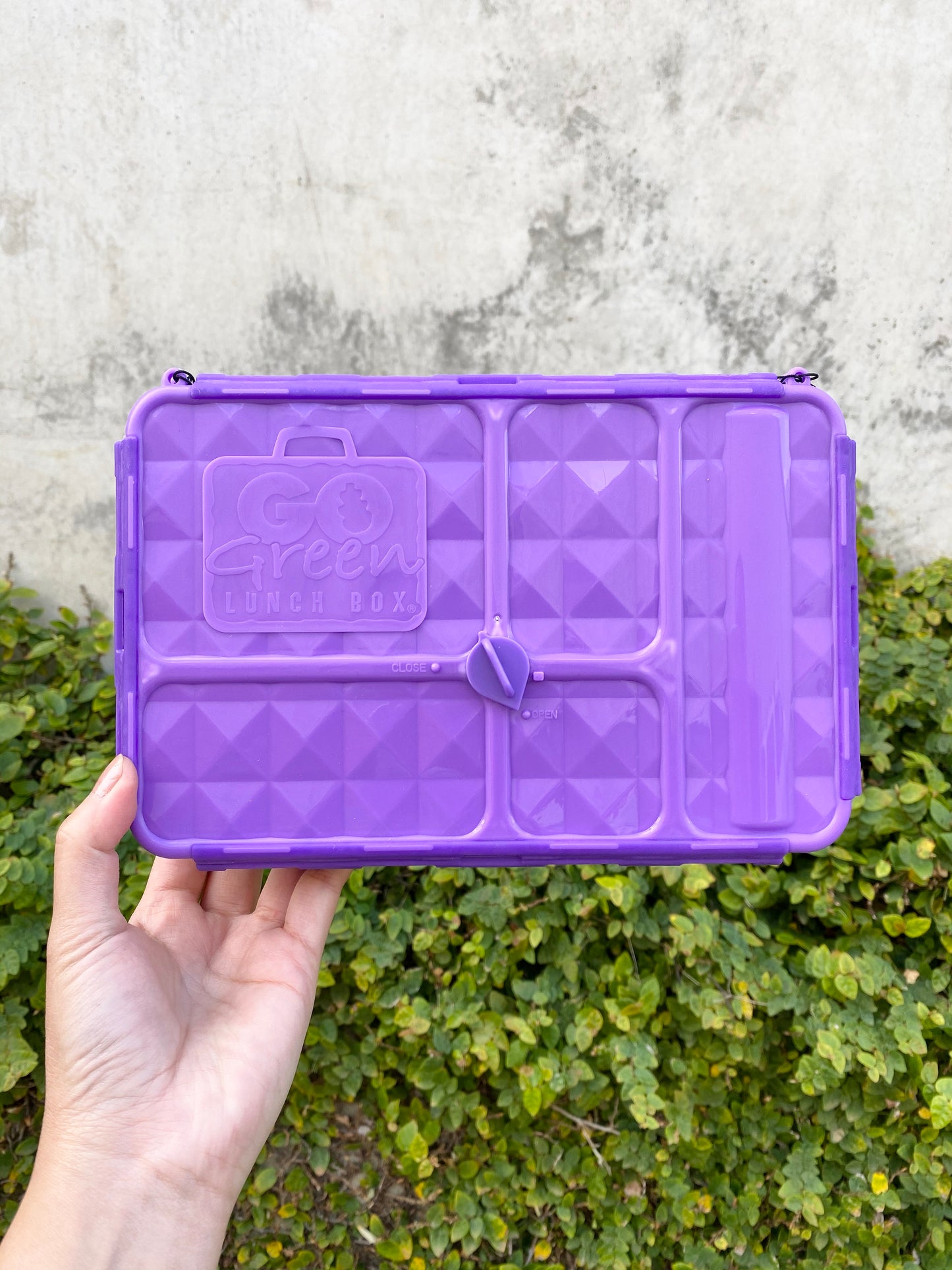 Go Green Snack Boxes