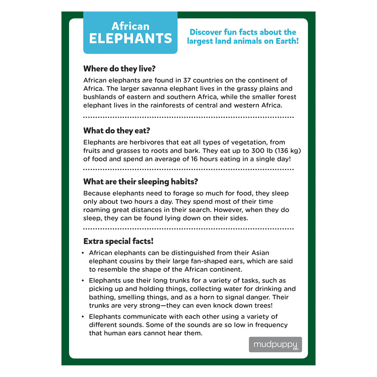 Mini Puzzle - African Elephant