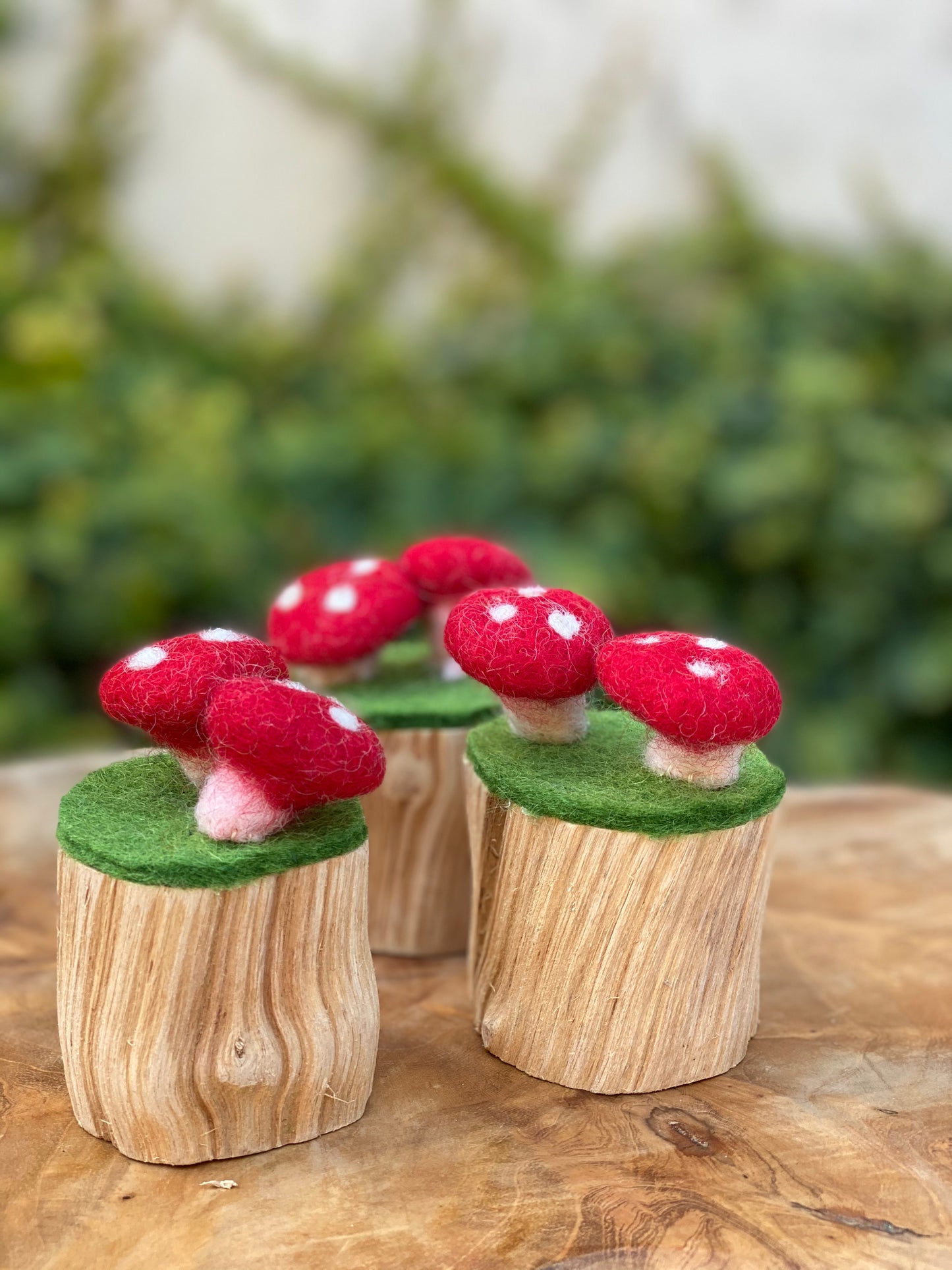 Papoose Toys Felt Toadstool Trunk Set