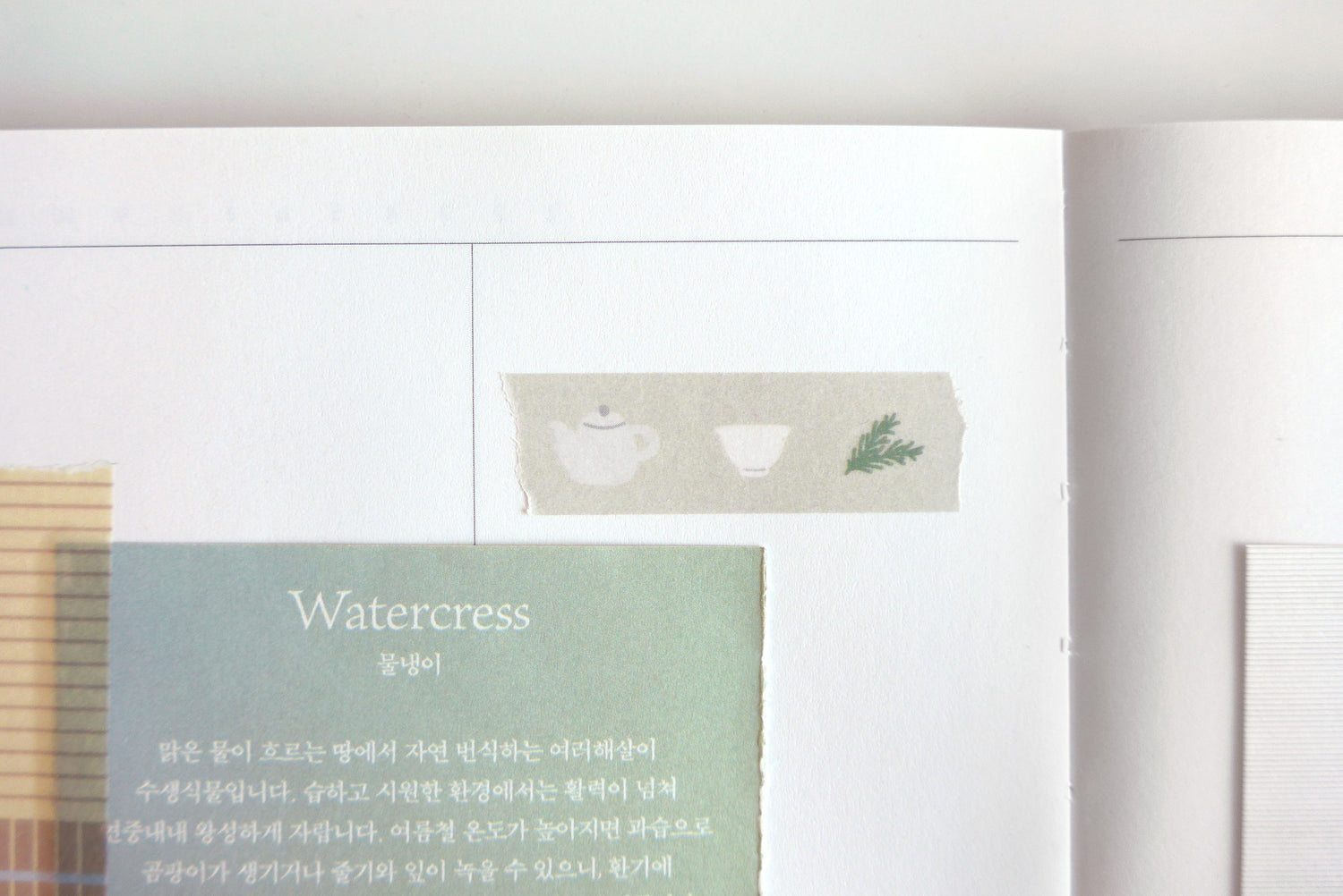 Washi Tapes (Masking Tape) / 3. Additional Images / washitapesmaskingtape_704_additionalimage_6.jpg