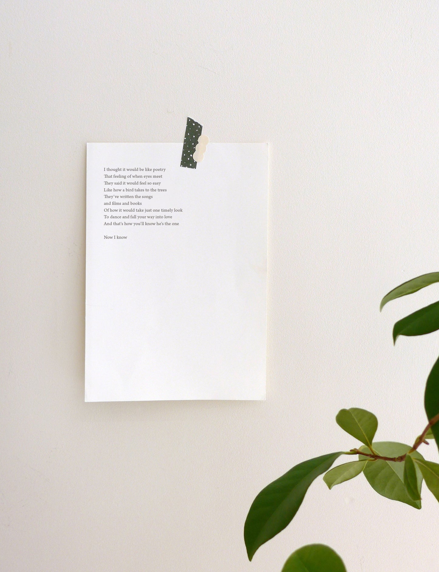 Plain stickers / 3. Additional Images / plainstickers_1673_additionalimage_12.jpg