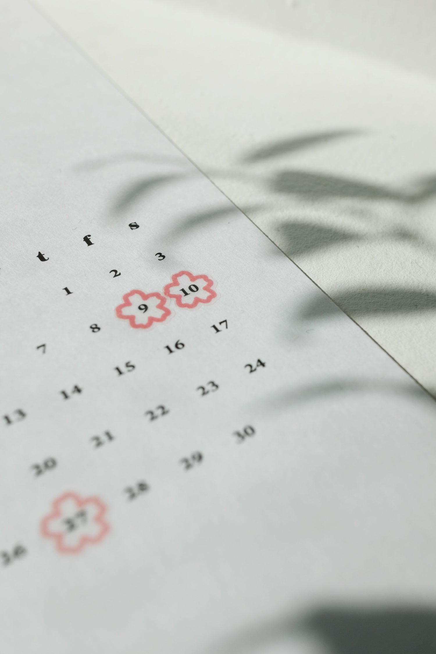 Plain stickers / 3. Additional Images / plainstickers_1665_additionalimage_13.JPG