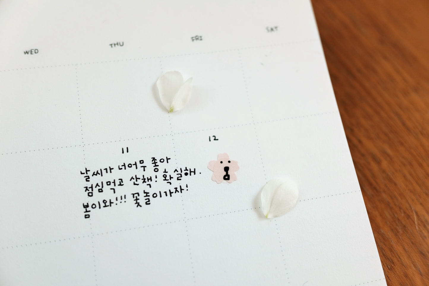 Plain stickers / 3. Additional Images / plainstickers_1665_additionalimage_16.JPG