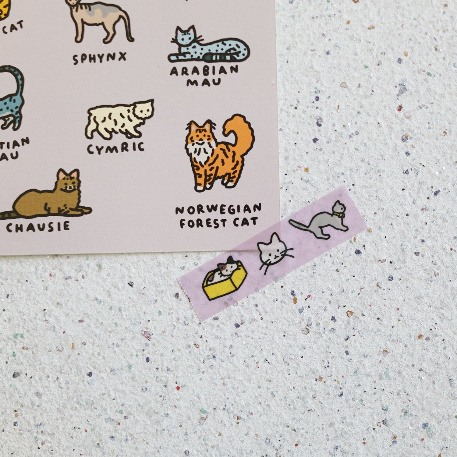 cat-masking-tape