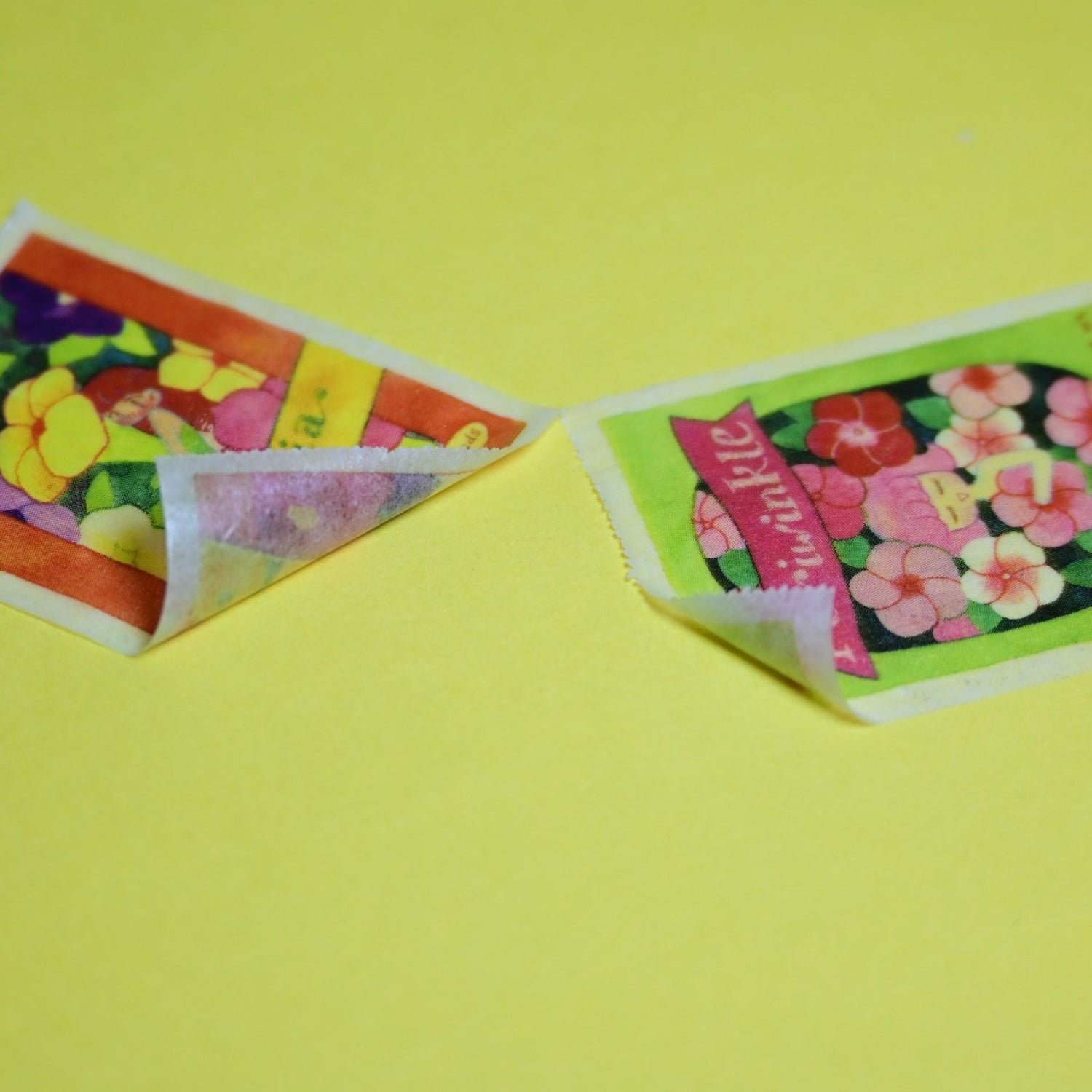 (MT135) Rainbowholic x Chichilittle Flower Seed Packets Easy Cut Washi Tape 3cm