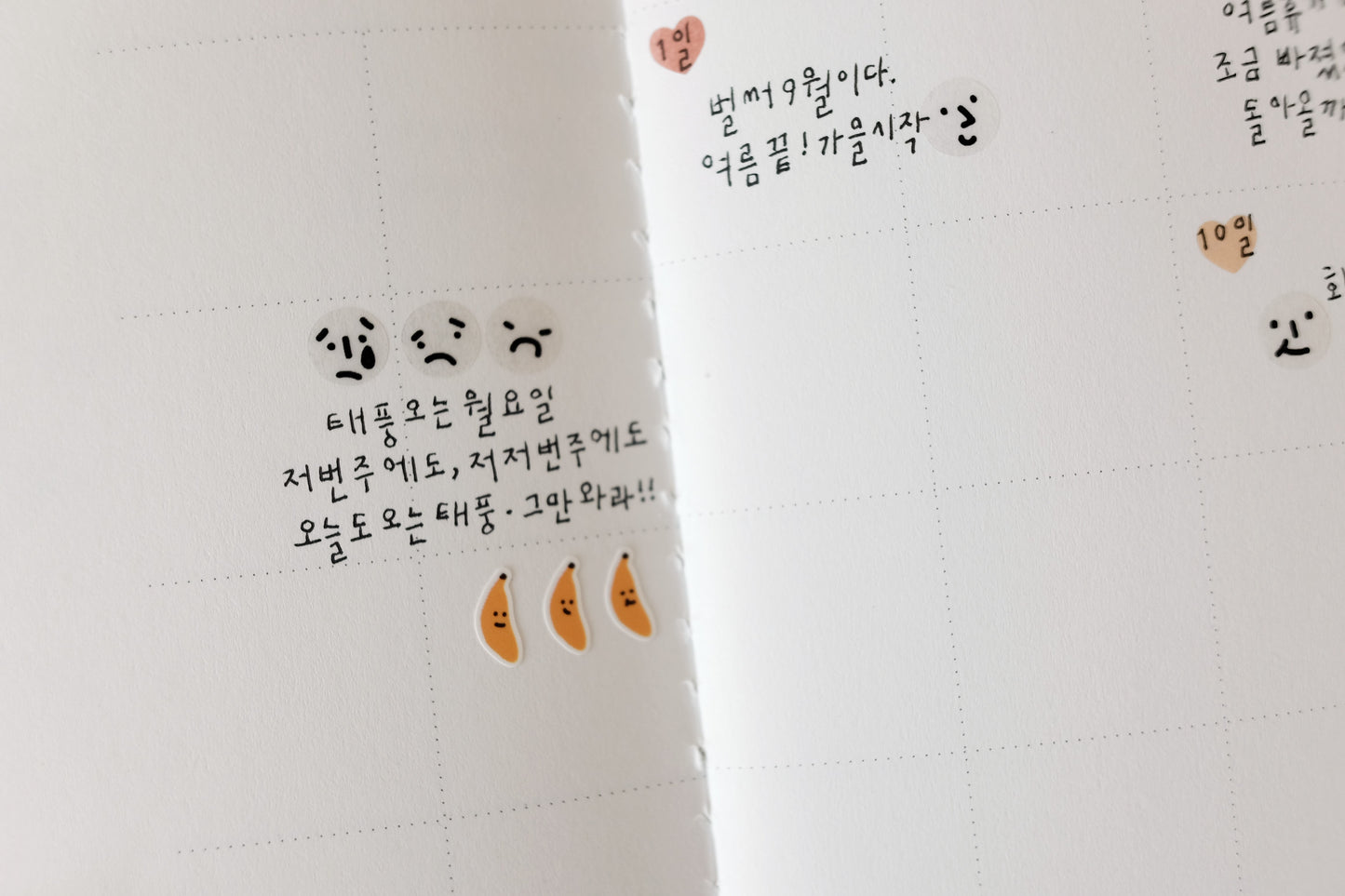 Mini stickers / 3. Additional Images / ministickers_105_additionalimage_16.JPG