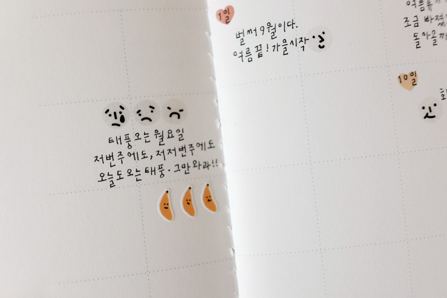 Mini stickers / 3. Additional Images / ministickers_105_additionalimage_16.JPG