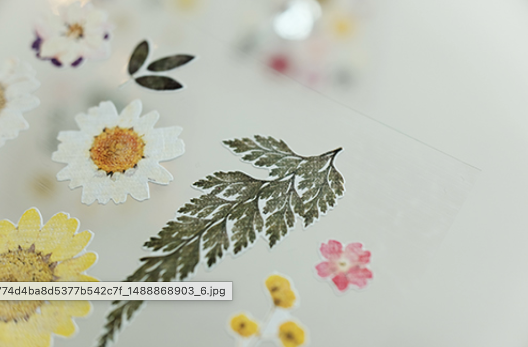 Dear Flower Sticker | Suatelier