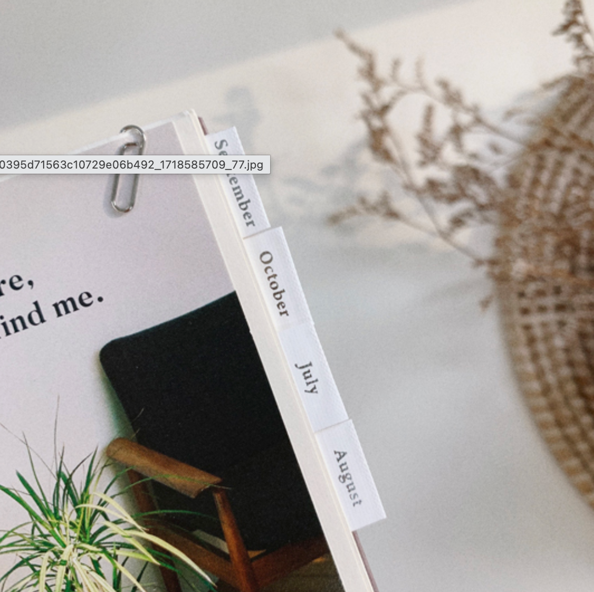 Plain.44 Monthly Tabs Sticker | Suatelier Design