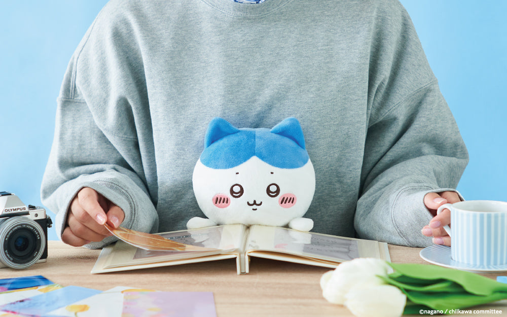 Posture Pals Chiikawa - Hachiware | Dreams
