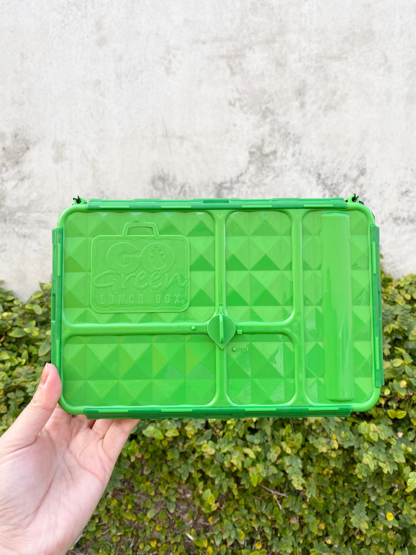 Go Green Snack Boxes