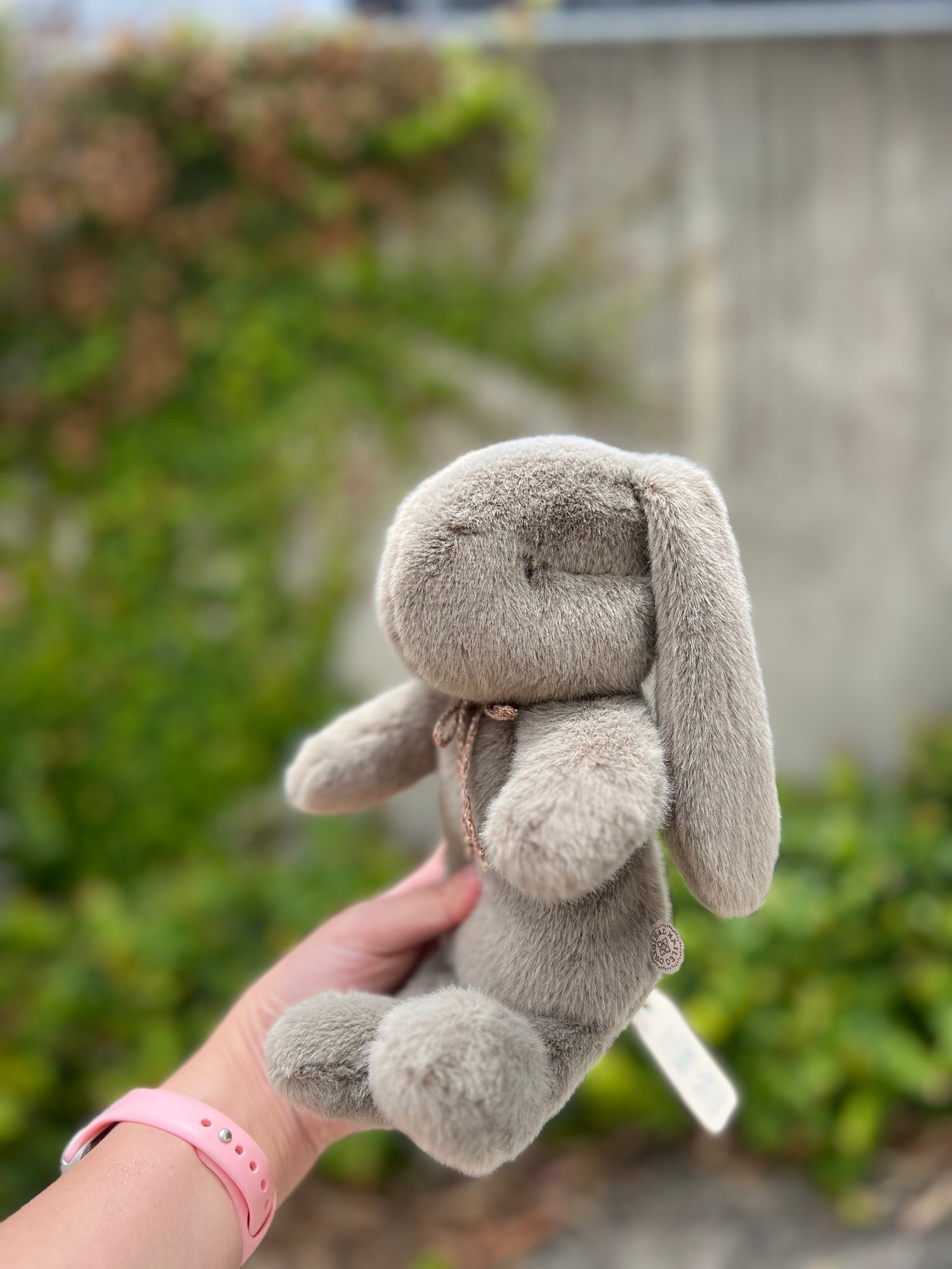Maileg plush bunny shop